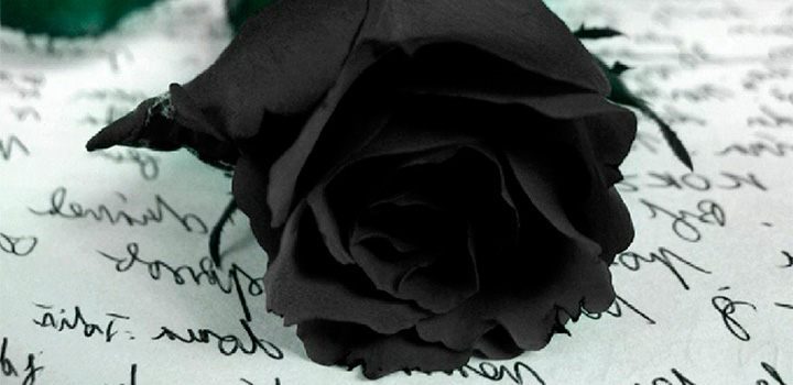 Portadas de rosas negras para FaceBook - Imagui
